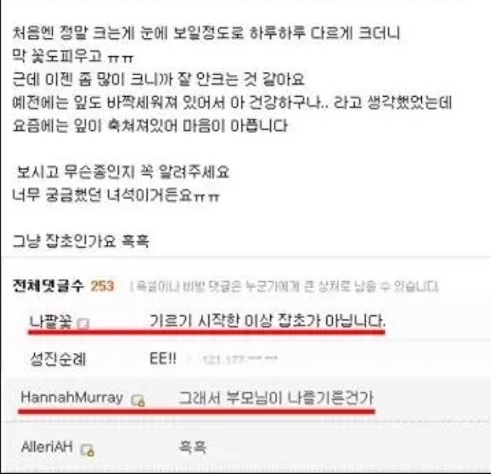 따뜻따뜻 식물갤 명언의 반전 | 인스티즈