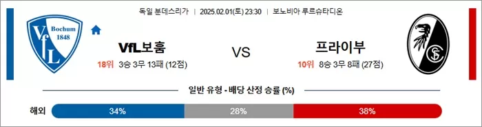 2월 01일 분데스리가 VfL보훔 vs 프라이부