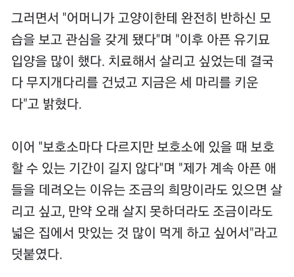 유기묘 입양한 유승호 