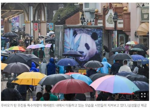 사랑받는 곰, 사살되는 곰17