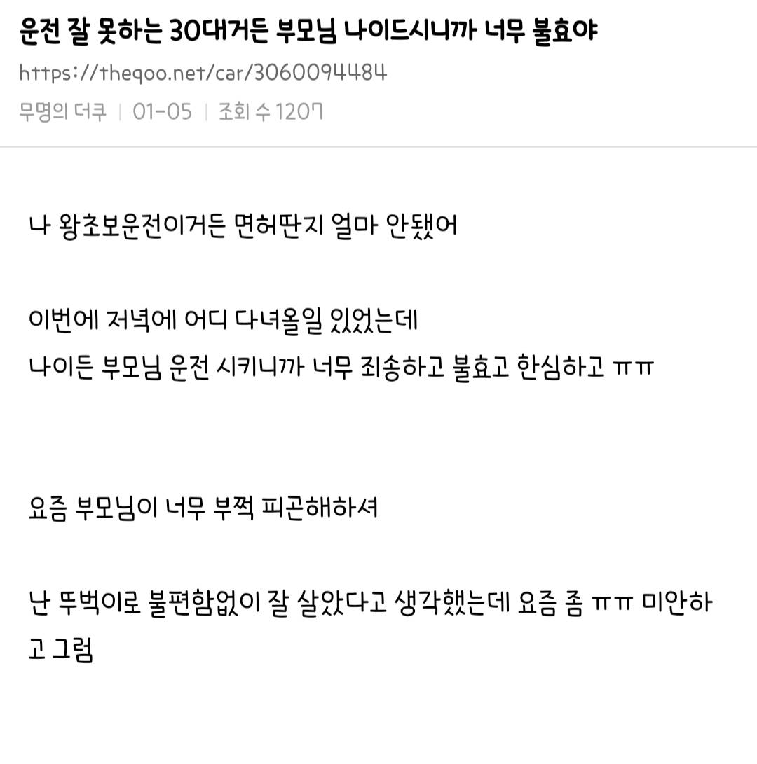 운전면허 절대 안따려고했던 사람들도 어쩔수없이 따는 경우5