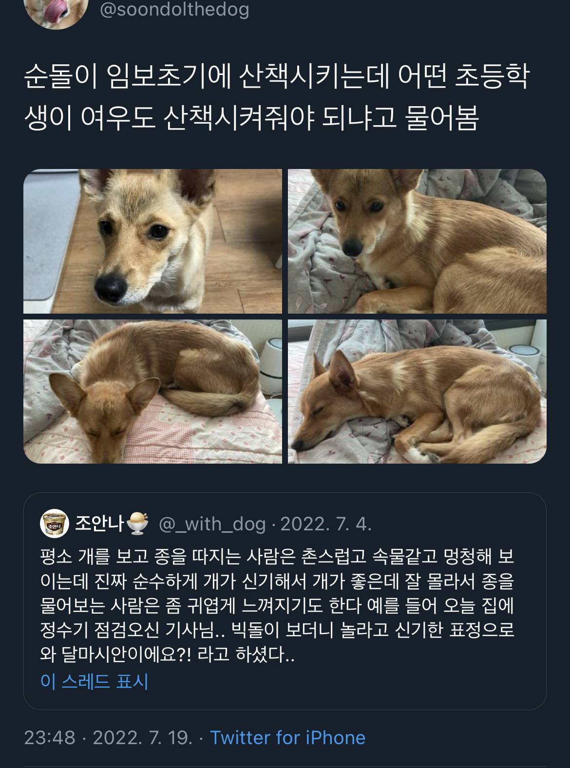 근데… 아파트에서 고라니새끼 키워도 돼요..? | 인스티즈