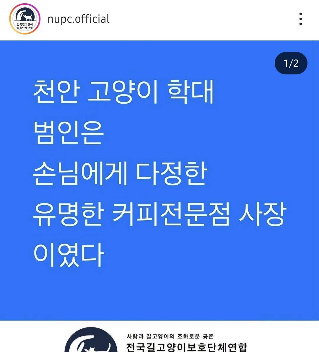 천안 길고양이 학대 사건 가해자 신상털림‼️ 공익목적⭕️ 천안 디저트카페 사장임14