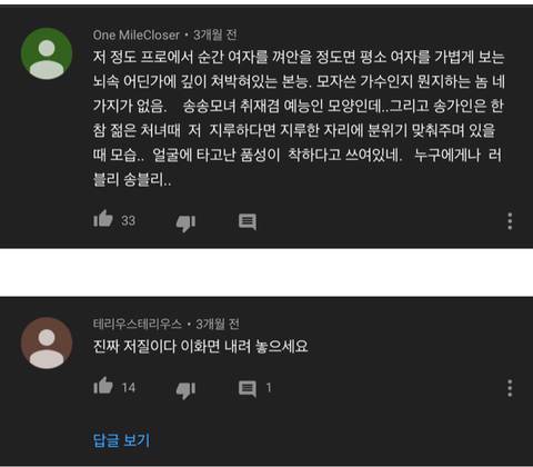 고도로 발달한 송가인 팬은 구분이 어렵다.JPG | 인스티즈