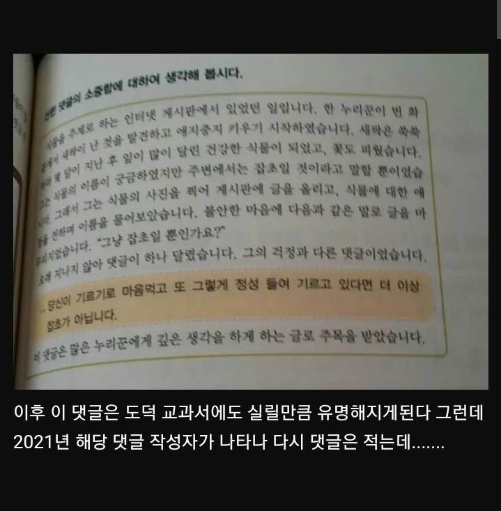 따뜻따뜻 식물갤 명언의 반전 | 인스티즈