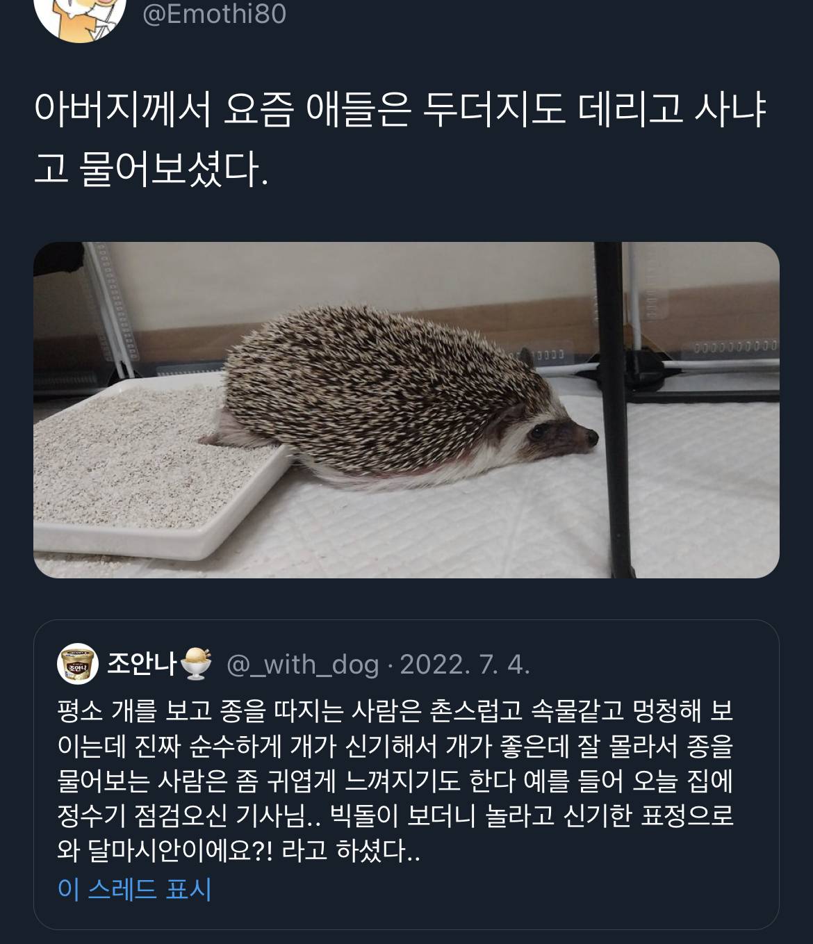 근데… 아파트에서 고라니새끼 키워도 돼요..? | 인스티즈