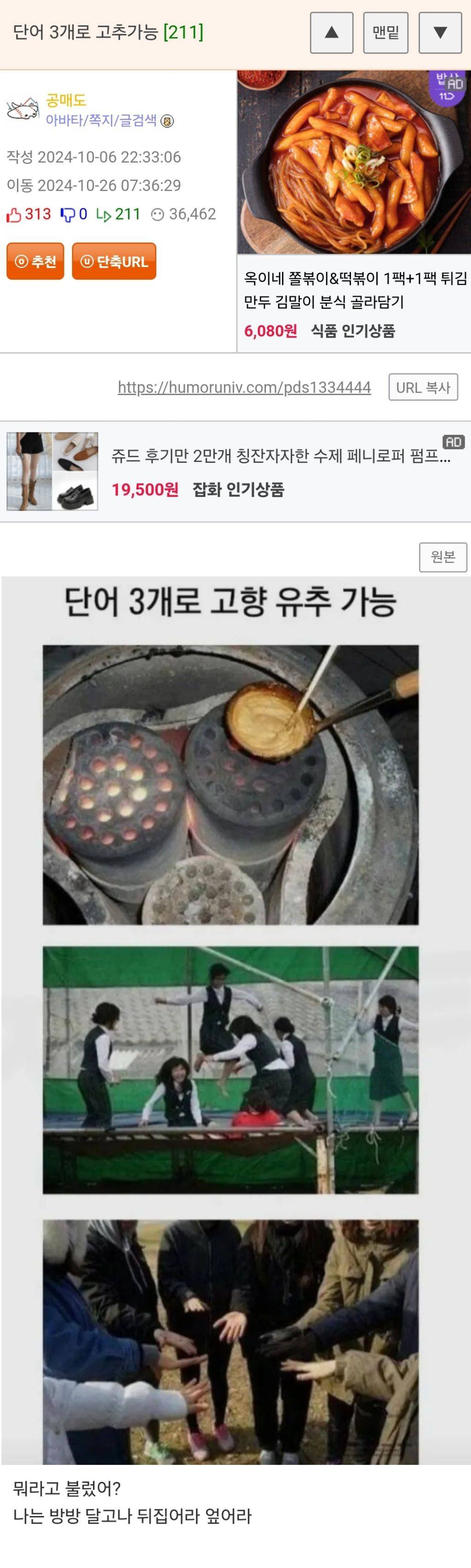 고향 판독기 3가지374